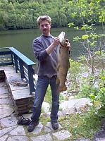 Trout from Skogseidvatnet