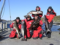 The fjord in Gurvikdal is spawning ground for cod.